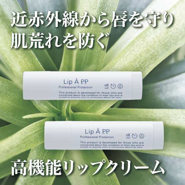 Lip Å P.P. リップエープロフェッショナルプロテクション 4g 無香料